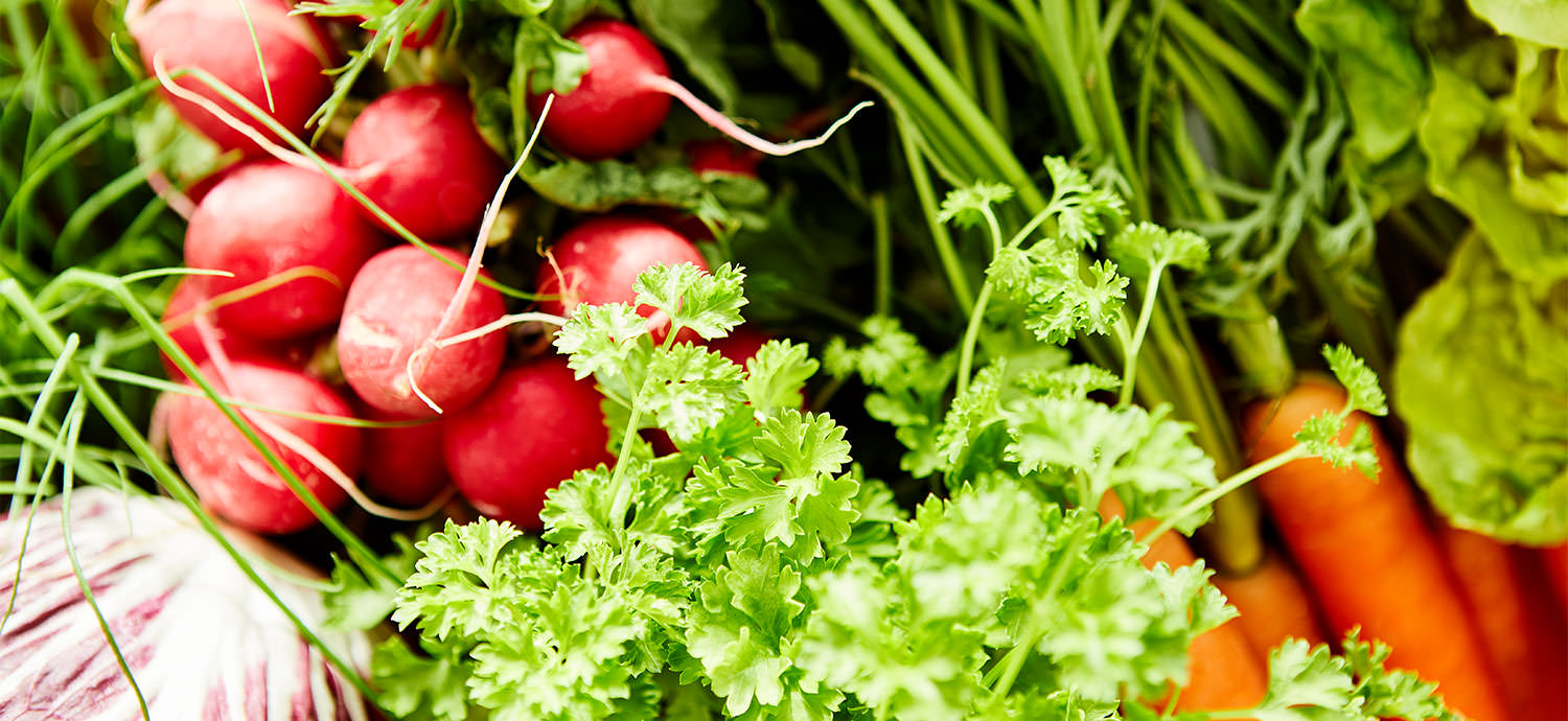 Food Aufnahmen für den Webauftritt von Maria Rosner – Ernährungsberaterin, ganzheitlich is(s)t anders https://mariarosner.de